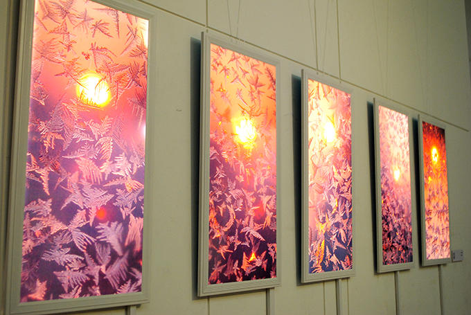 “Аврора 16” гэрэл зургийн үзэсгэлэн гарч байна